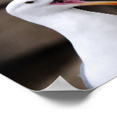 FUNNY Seagull Poster (Ecke)
