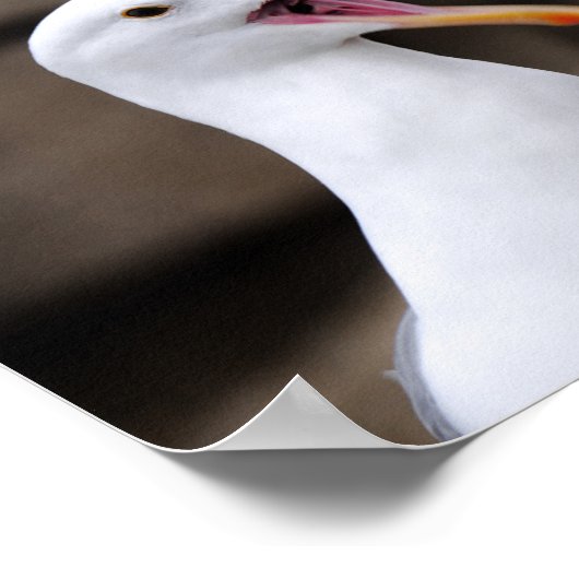 FUNNY Seagull Poster (Ecke)