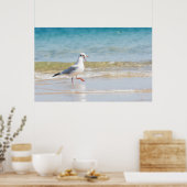 Funny Seagull Poster (Küche)