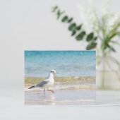 Funny Seagull Postkarte (Stehend Vorderseite)