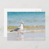 Funny Seagull Postkarte (Vorne/Hinten)