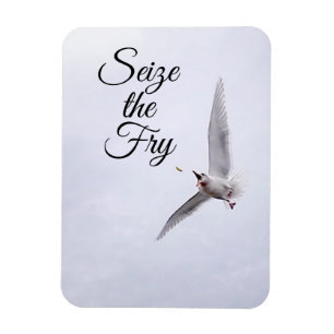 Funny Seagull Sea Bird Pub Französischer Carpe Die Magnet
