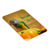 Funny Senegal Parrot Banana Magnet (Rechte Seite)