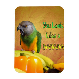 Funny Senegal Parrot Banana Magnet