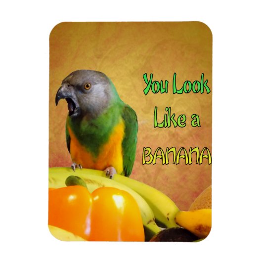 Funny Senegal Parrot Banana Magnet (Vertikal)