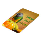 Funny Senegal Parrot Banana Magnet (Linke Seite)