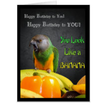Funny Senegal Parrot Big Birthday Card