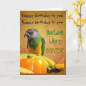 Funny Senegal Parrot Geburtstagskarte Karte (Gelbe Blume)