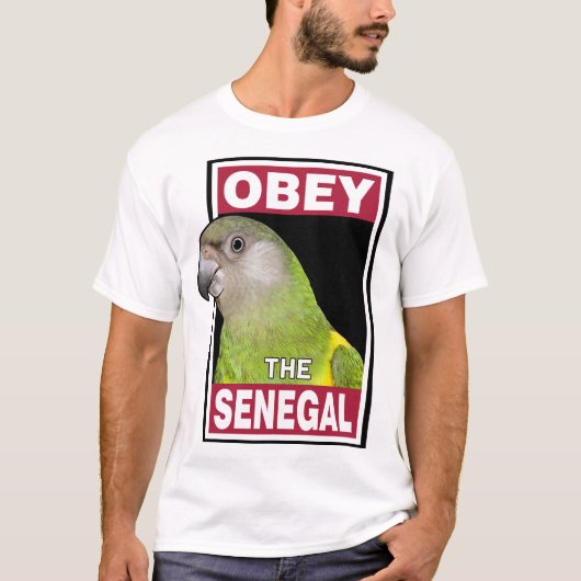 Funny Senegal Parrot - Vogelkunst T-Shirt (Vorderseite)