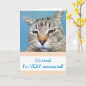 Funny Serious Cat wird gut Karte (Gelbe Blume)