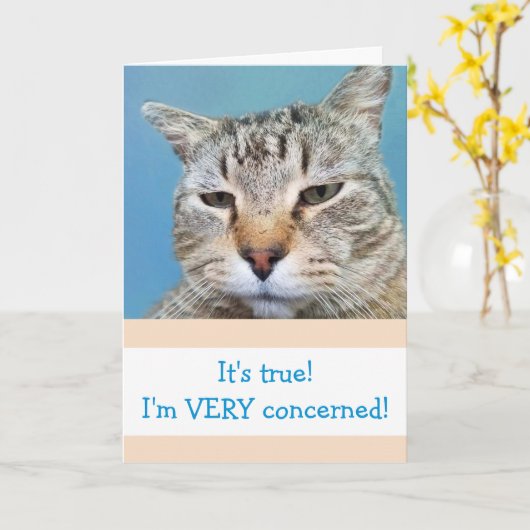 Funny Serious Cat wird gut Karte (Gelbe Blume)