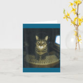 Funny Serious Gamer Cat Lovers Stud Kitty Cat Meme Karte (Gelbe Blume)