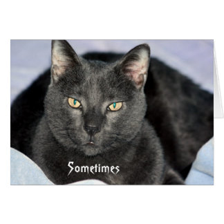 Funny Shake meine Kopfkarte