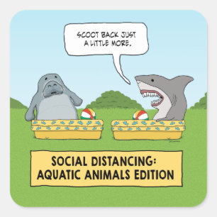 Funny Shark and Manate Social Distancing Quadratischer Aufkleber