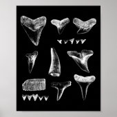 Funny Shark Zähne Design für Männer Frauen Hais Zä Poster (Vorne)