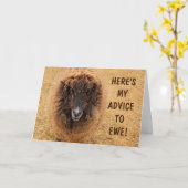 Funny Sheep Advisor Wisdom Birthday Karte (Gelbe Blume)