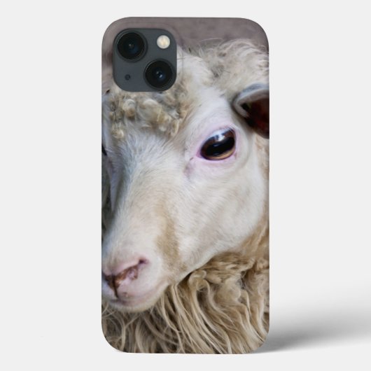 Funny Sheep Case-Mate iPhone Hülle (Rückseite)