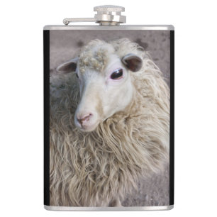 Funny Sheep Flachmann