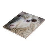 Funny Sheep Fliese (Seite)