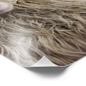 Funny Sheep Fotodruck (Ecke)