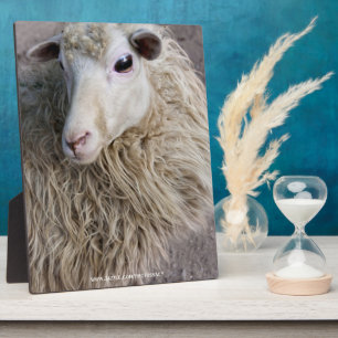 Funny Sheep Fotoplatte