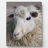 Funny Sheep Fotoplatte (Vorderseite)