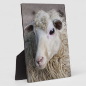 Funny Sheep Fotoplatte (Seite)