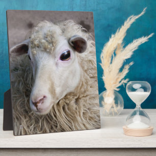 Funny Sheep Fotoplatte