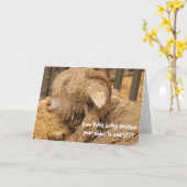 Funny Sheep Geburtstag, Alt, Bad Hair Day! Karte (Gelbe Blume)