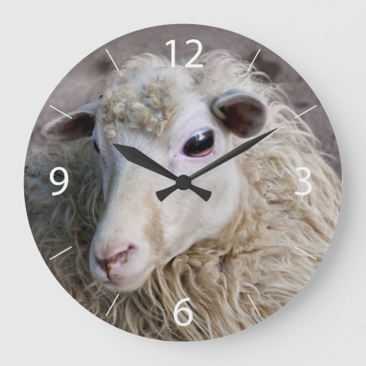 Funny Sheep Große Wanduhr (Vorderseite)