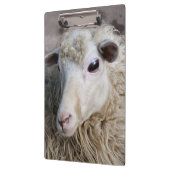 Funny Sheep Klemmbrett (Links)