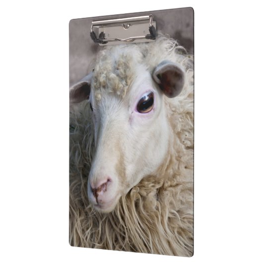 Funny Sheep Klemmbrett (Links)