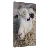 Funny Sheep Klemmbrett (Rechts)
