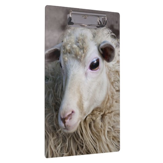 Funny Sheep Klemmbrett (Rechts)