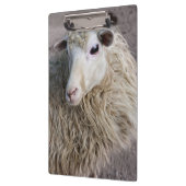 Funny Sheep Klemmbrett (Links)
