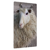 Funny Sheep Klemmbrett (Rechts)