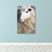 Funny Sheep Leinwanddruck (Insitu (Holzboden))