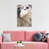 Funny Sheep Leinwanddruck (Insitu (Wohnzimmer))