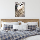 Funny Sheep Leinwanddruck (Insitu (Schlafzimmer))