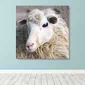 Funny Sheep Leinwanddruck (Insitu (Holzboden))