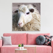 Funny Sheep Leinwanddruck (Insitu (Wohnzimmer))