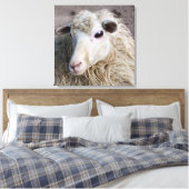Funny Sheep Leinwanddruck (Insitu (Schlafzimmer))