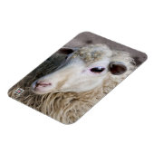 Funny Sheep Magnet (Linke Seite)
