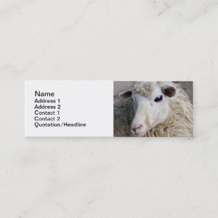 Funny Sheep Mini Visitenkarte
