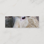 Funny Sheep Mini Visitenkarte (Rückseite)