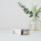 Funny Sheep Mini Visitenkarte (Stehend Vorderseite)