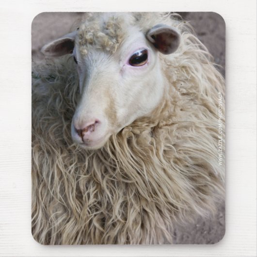 Funny Sheep Mousepad (Vorne)