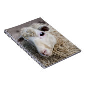 Funny Sheep Notizblock (Rechte Seite)