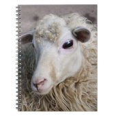 Funny Sheep Notizblock (Vorderseite)