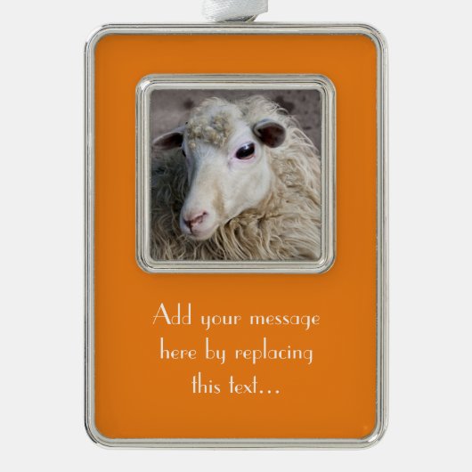 Funny Sheep Rahmen-Ornament Silber (Vorderseite)